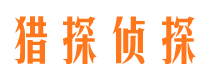 前进市调查公司